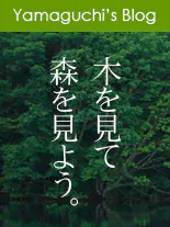 木を見て森を見よう。